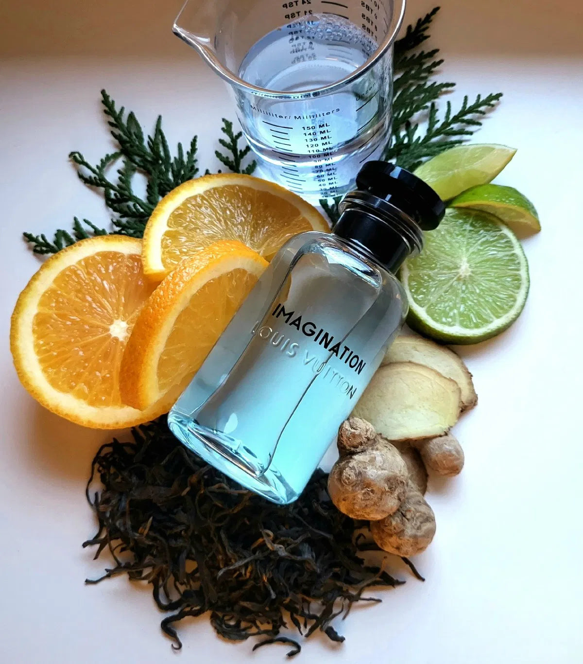 Louis Vuitton Imagination