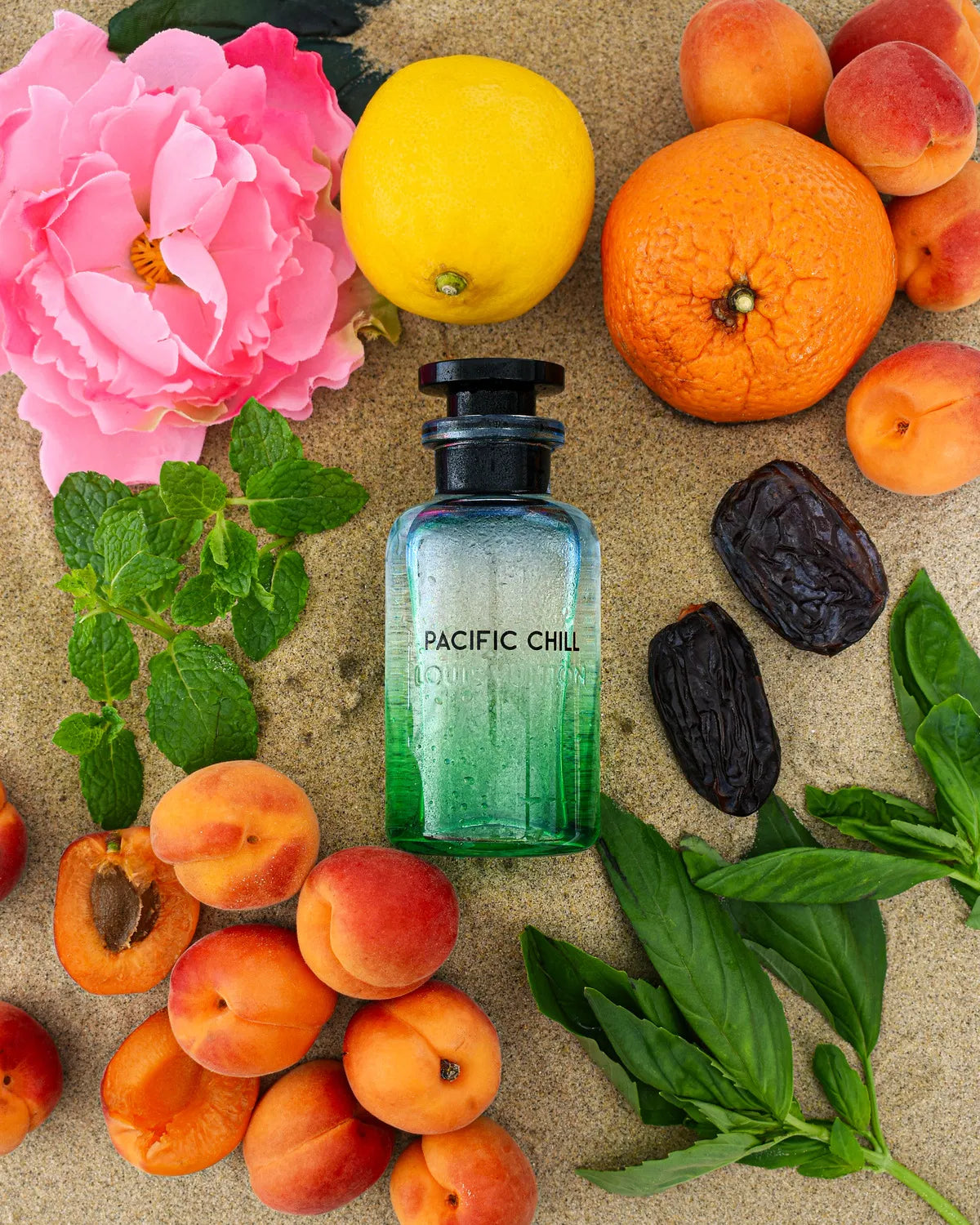 Louis Vuitton Pacific Chill